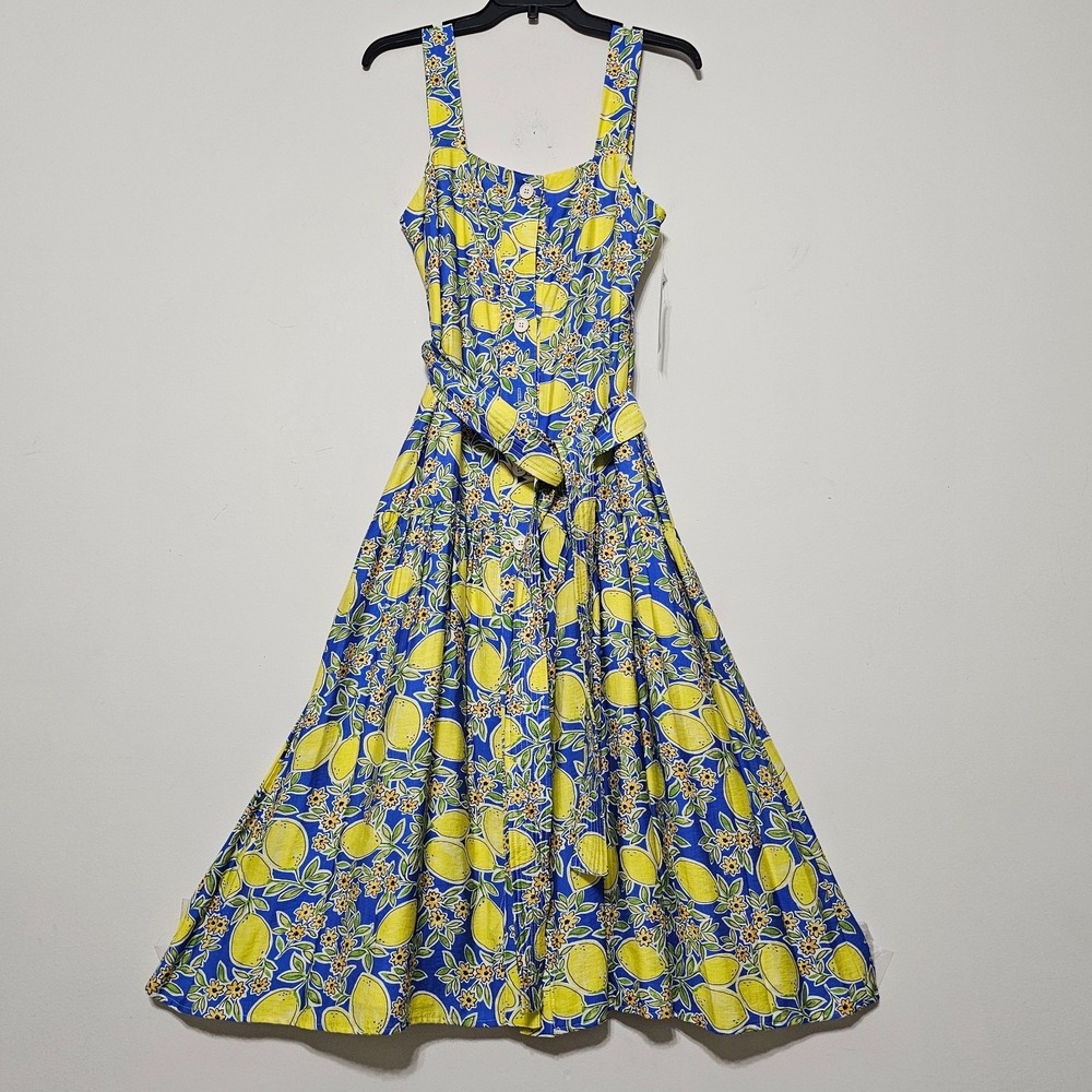 TCEC‎ Dress Maxi Large Blue Lemon Floral Sleeveless Squareneck Front Button 0847